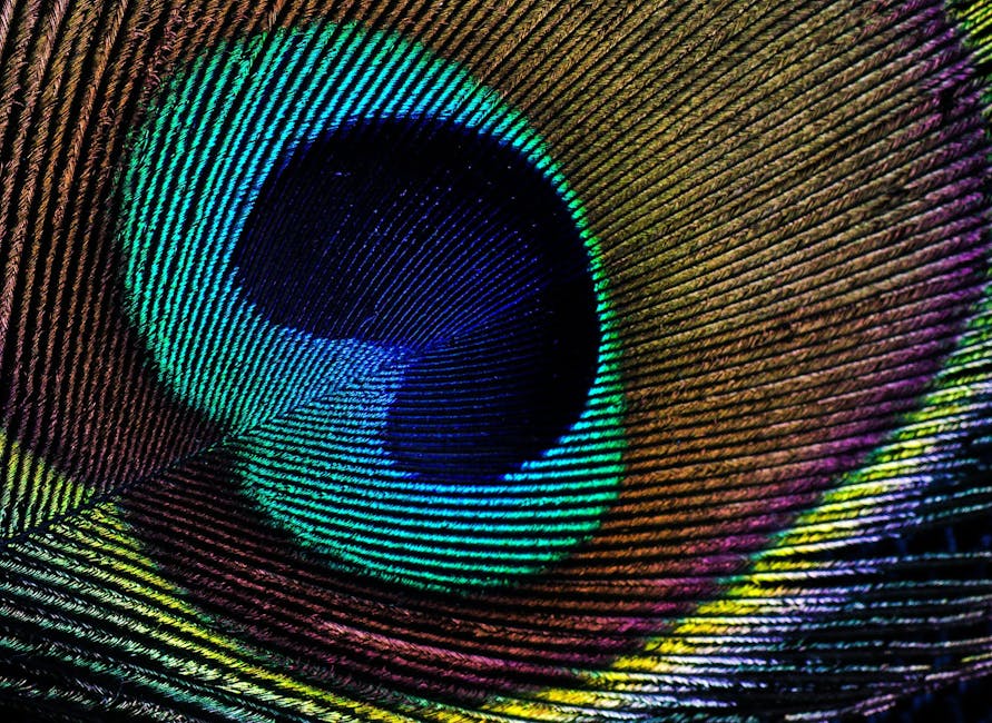 如何去眼袋:實用步驟與技巧大公開